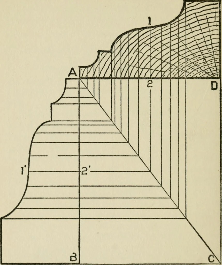 An illustration from Radford's cyclopedia of construction; carpentry, building and architecture. Based on the practical experience of a large staff of experts in actual constrcution work, 1909, leaf 279