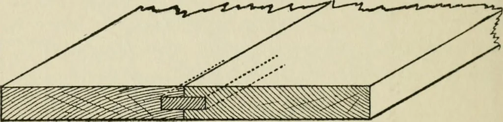 An illustration from Radford's cyclopedia of construction; carpentry, building and architecture. Based on the practical experience of a large staff of experts in actual constrcution work, 1909, leaf 299