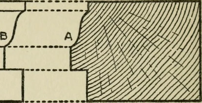 An illustration from Radford's cyclopedia of construction; carpentry, building and architecture. Based on the practical experience of a large staff of experts in actual constrcution work, 1909, leaf 301