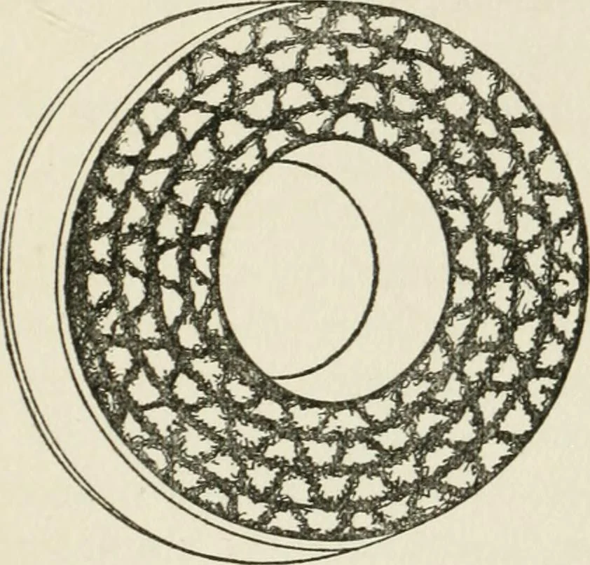 An illustration from Radford's cyclopedia of construction; carpentry, building and architecture. Based on the practical experience of a large staff of experts in actual constrcution work, 1909, leaf 188