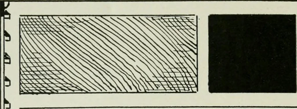 An illustration from Radford's cyclopedia of construction; carpentry, building and architecture. Based on the practical experience of a large staff of experts in actual constrcution work, 1909, leaf 149