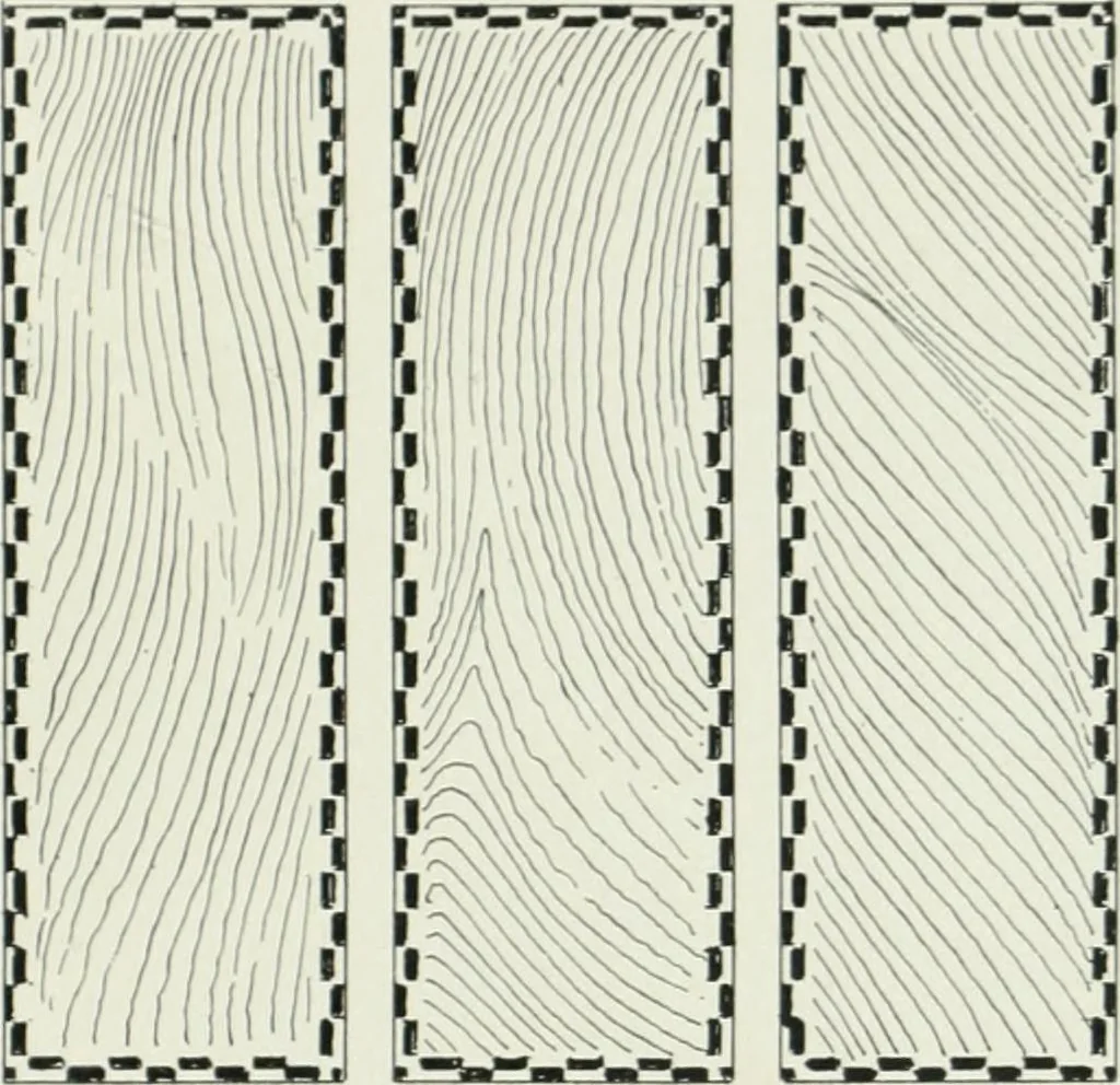 An illustration from Radford's cyclopedia of construction; carpentry, building and architecture. Based on the practical experience of a large staff of experts in actual constrcution work, 1909, leaf 170