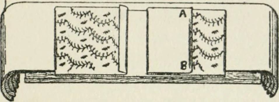 An illustration from Radford's cyclopedia of construction; carpentry, building and architecture. Based on the practical experience of a large staff of experts in actual constrcution work, 1909, leaf 378