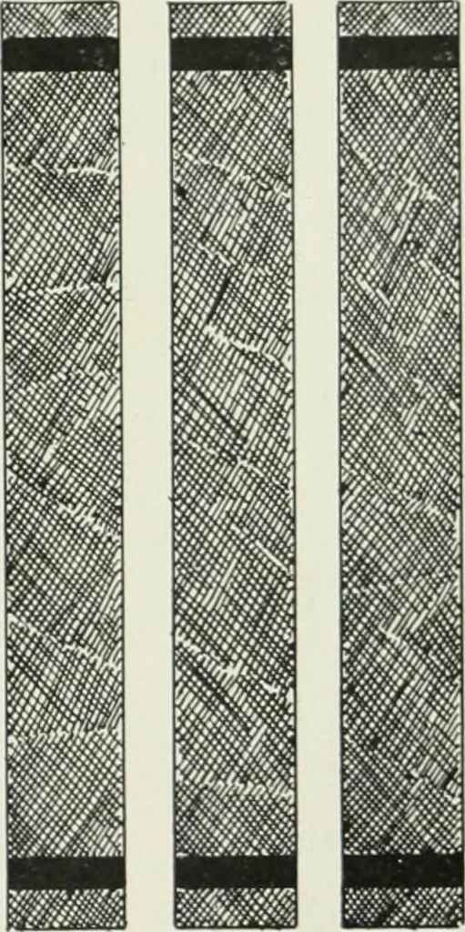 An illustration from Radford's cyclopedia of construction; carpentry, building and architecture. Based on the practical experience of a large staff of experts in actual constrcution work, 1909, leaf 54