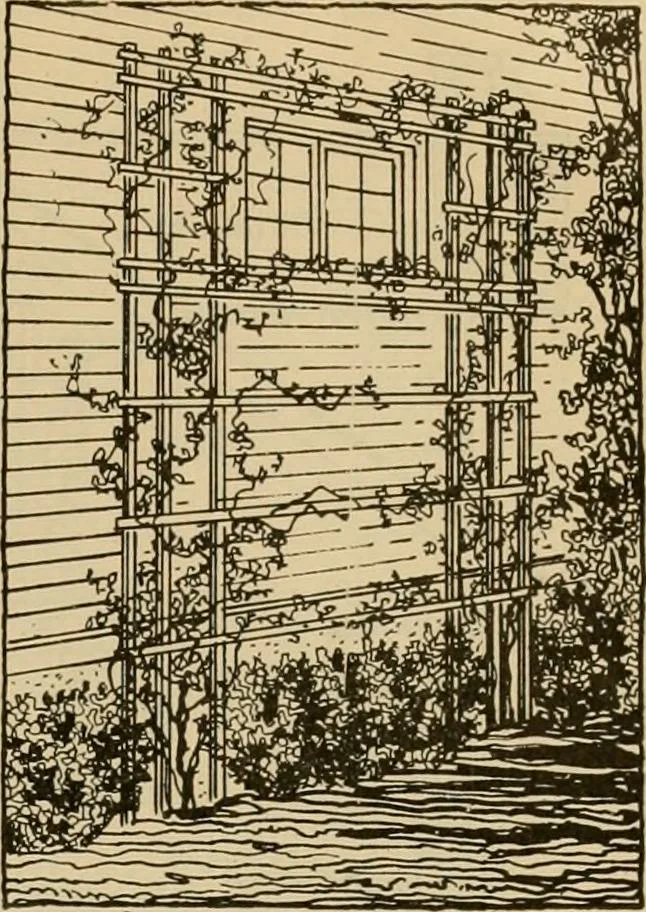 An illustration from Radford’s portfolio of details of building construction; a remarkable and unique collection of full-page plates, accurately drawn and reproduced to exact scale. Complete details for every style of interior trim, including special built-in features., 1911, leaf 62