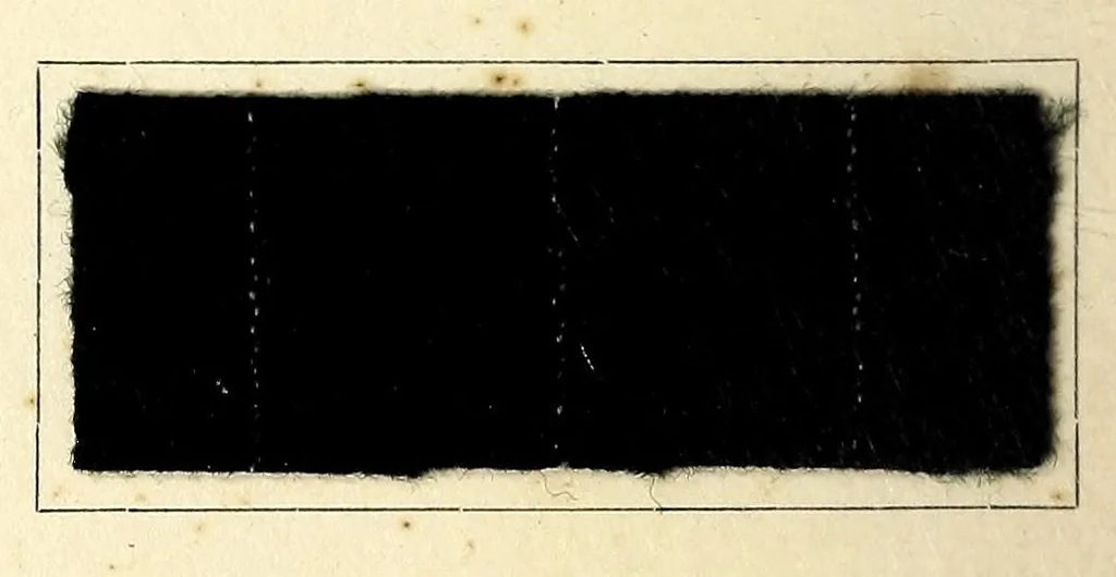An illustration from Radiofarben pat. für schweissechte Färbungen auf Konfektionsstoffen = Colorants Radio brev. pour teintes solides à la transpiration pour tissus de confection, 1900, leaf 10