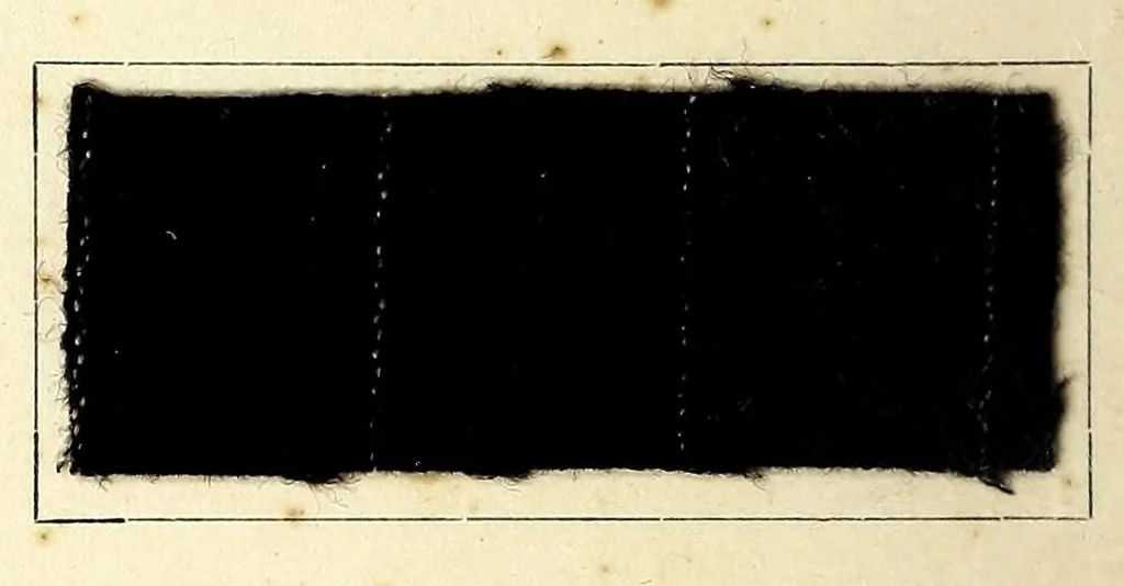 An illustration from Radiofarben pat. für schweissechte Färbungen auf Konfektionsstoffen = Colorants Radio brev. pour teintes solides à la transpiration pour tissus de confection, 1900, leaf 10