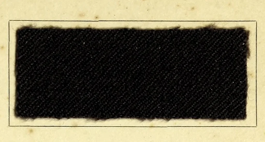 An illustration from Radiofarben pat. für schweissechte Färbungen auf Konfektionsstoffen = Colorants Radio brev. pour teintes solides à la transpiration pour tissus de confection, 1900, leaf 11
