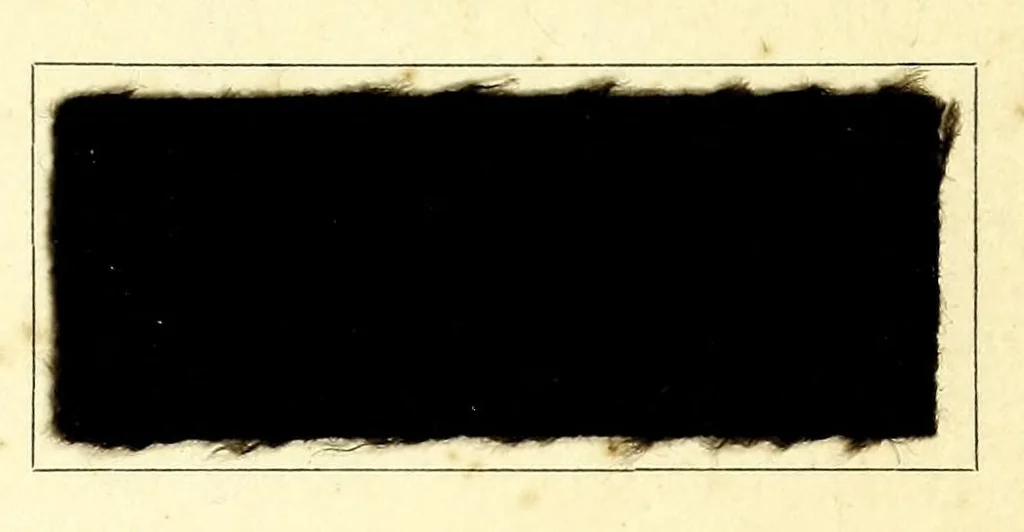 An illustration from Radiofarben pat. für schweissechte Färbungen auf Konfektionsstoffen = Colorants Radio brev. pour teintes solides à la transpiration pour tissus de confection, 1900, leaf 11