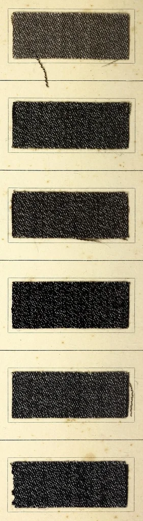 An illustration from Radiofarben pat. für schweissechte Färbungen auf Konfektionsstoffen = Colorants Radio brev. pour teintes solides à la transpiration pour tissus de confection, 1900, leaf 8