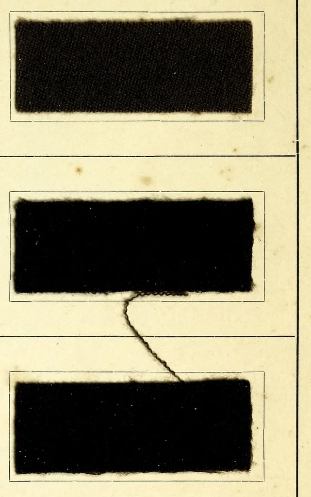 An illustration from Radiofarben pat. für schweissechte Färbungen auf Konfektionsstoffen = Colorants Radio brev. pour teintes solides à la transpiration pour tissus de confection, 1900, leaf 9