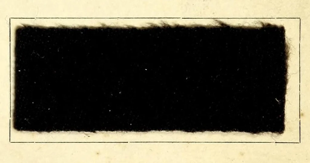 An illustration from Radiofarben pat. für schweissechte Färbungen auf Konfektionsstoffen = Colorants Radio brev. pour teintes solides à la transpiration pour tissus de confection, 1900, leaf 9