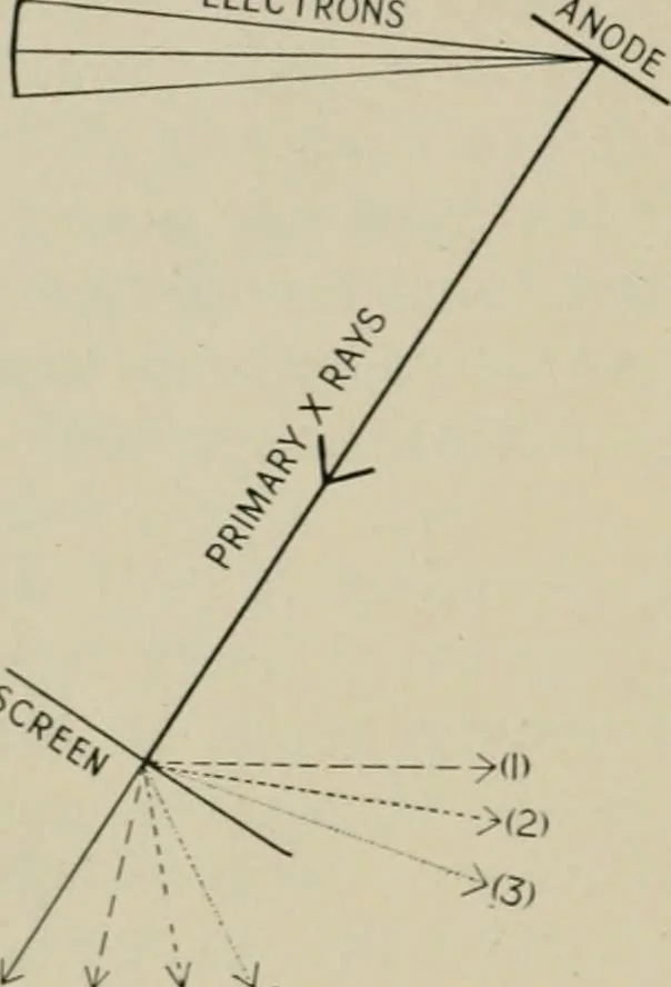 An illustration from Radium, X rays and the living cell, 1915, leaf 37