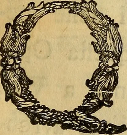An illustration from Ragguaglio delle antichità e rarità che si conservano nella Galleria mediceo-imperiale di Firenze, 1759, leaf 4