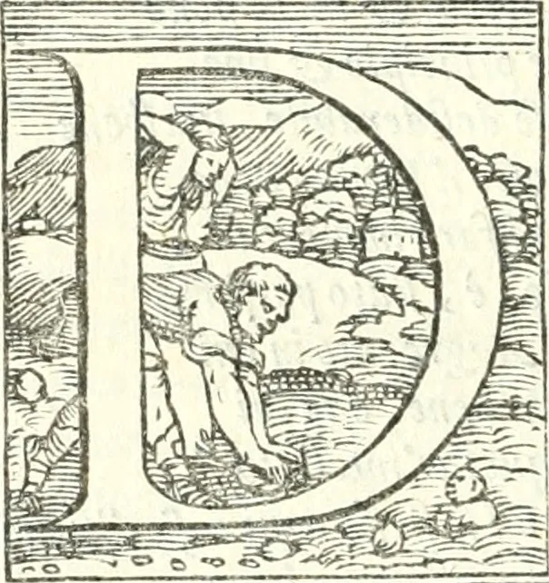 An illustration from Ragionamenti accademici .., 1567, leaf 123