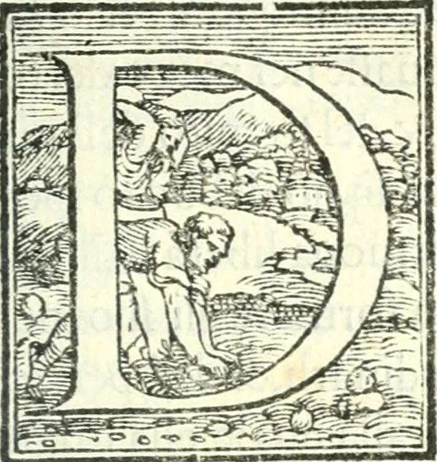 An illustration from Ragionamenti accademici .., 1567, leaf 6