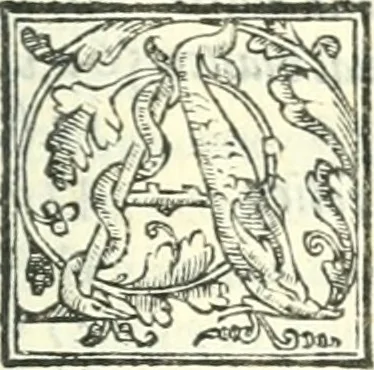 An illustration from Ragionamenti accademici .., 1567, leaf 8