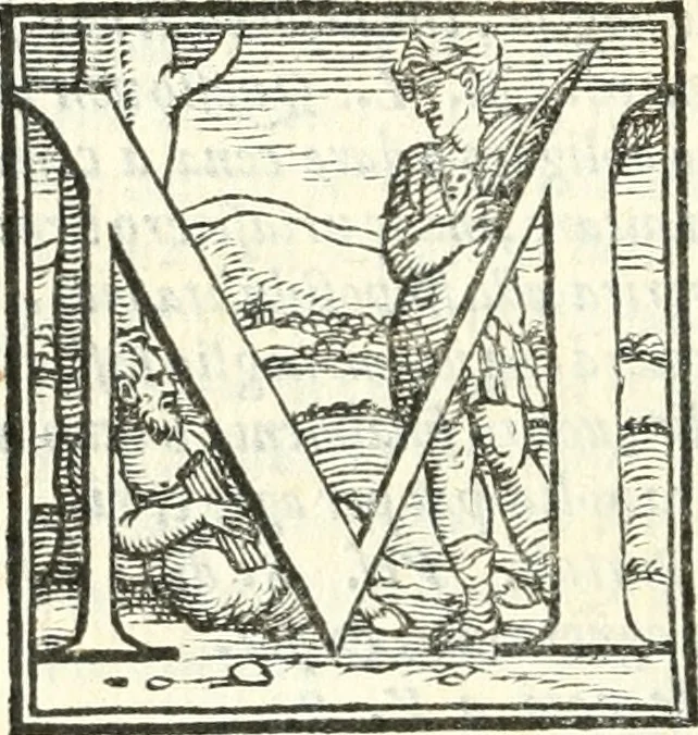 An illustration from Ragionamenti accademici .., 1567, leaf 83