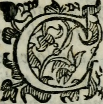 An illustration from Ragionamenti di Lorenzo Capelloni sopra varij essempi ciuili, & militari. Aggiunteui le Memorie del signore d'Argentone, 1610, leaf 36