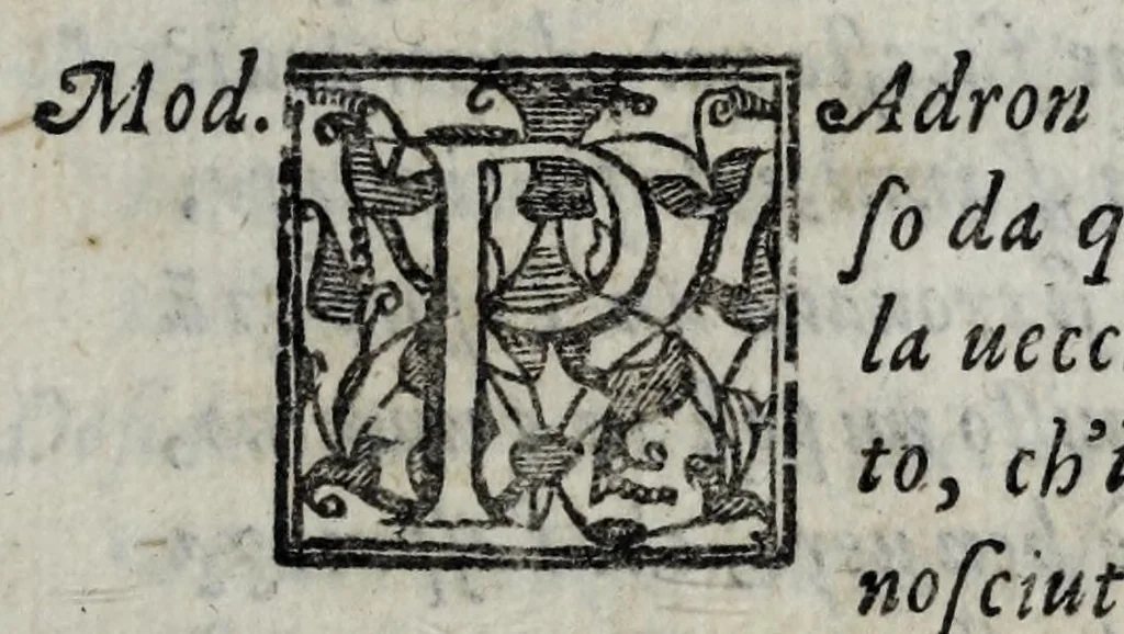 An illustration from Ragionamenti fantastici, 1612, leaf 227