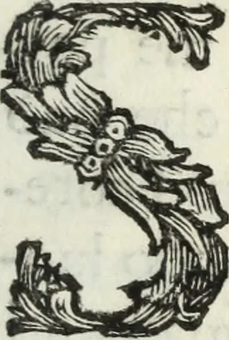 An illustration from Ragionamento, 1772, leaf 10
