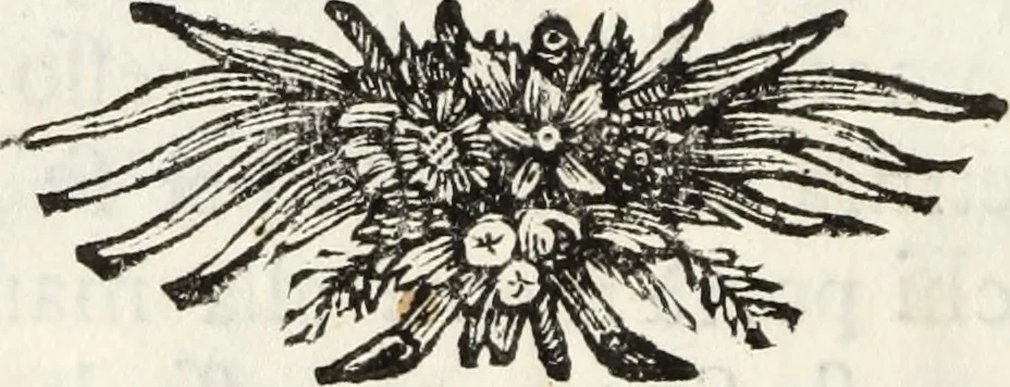 An illustration from Ragionamento, 1772, leaf 19