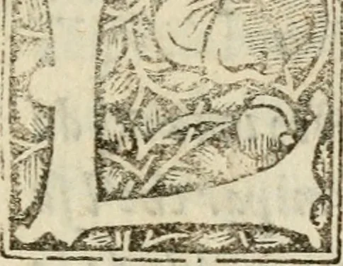 An illustration from Ragionamento del terremoto, del Nvovo monte, del aprimento di terra in Pozvolo nel anno 1538 : e dela significatione d'essi, 1539, leaf 12