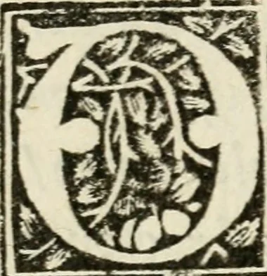 An illustration from Ragionamento del terremoto, del Nvovo monte, del aprimento di terra in Pozvolo nel anno 1538 : e dela significatione d'essi, 1539, leaf 9