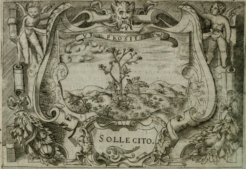 An illustration from Ragionamento di Luca Contile sopra la proprietà delle imprese con le particolari de gli academici Affidati et con le interpretationi et croniche .., 1574, leaf 111