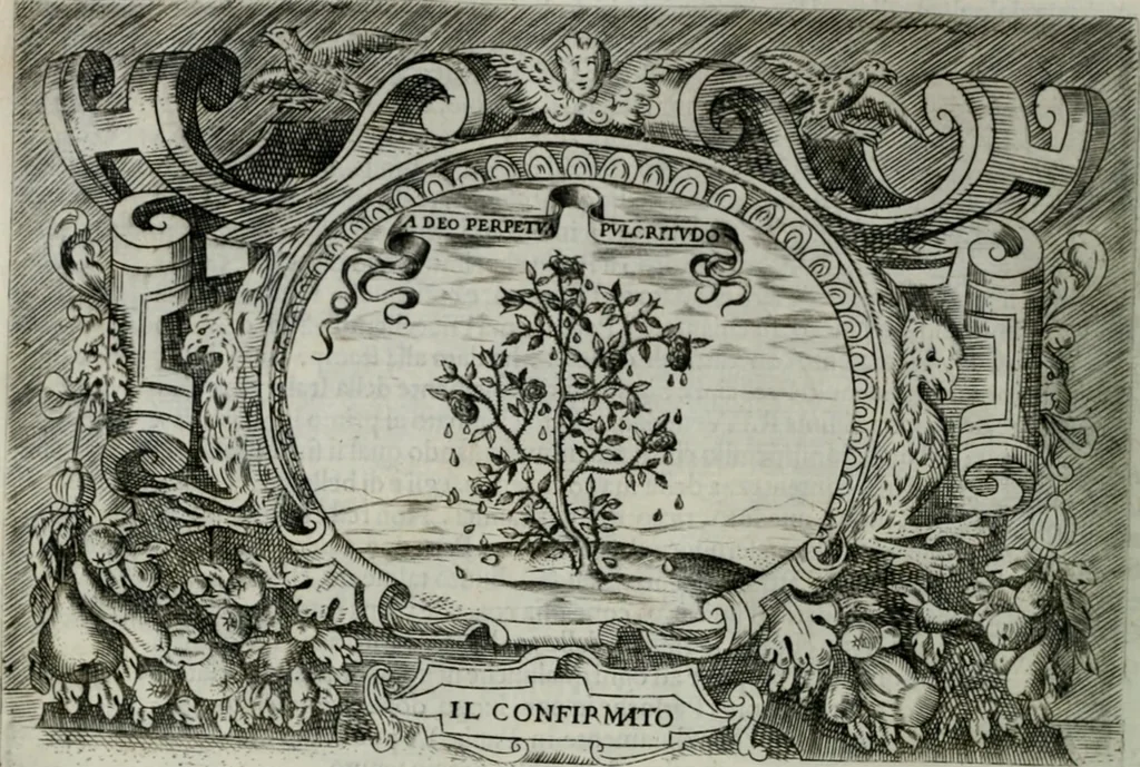 An illustration from Ragionamento di Luca Contile sopra la proprietà delle imprese con le particolari de gli academici Affidati et con le interpretationi et croniche .., 1574, leaf 125