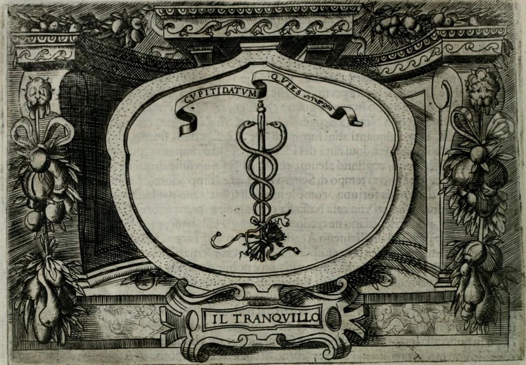 An illustration from Ragionamento di Luca Contile sopra la proprietà delle imprese con le particolari de gli academici Affidati et con le interpretationi et croniche .., 1574, leaf 133