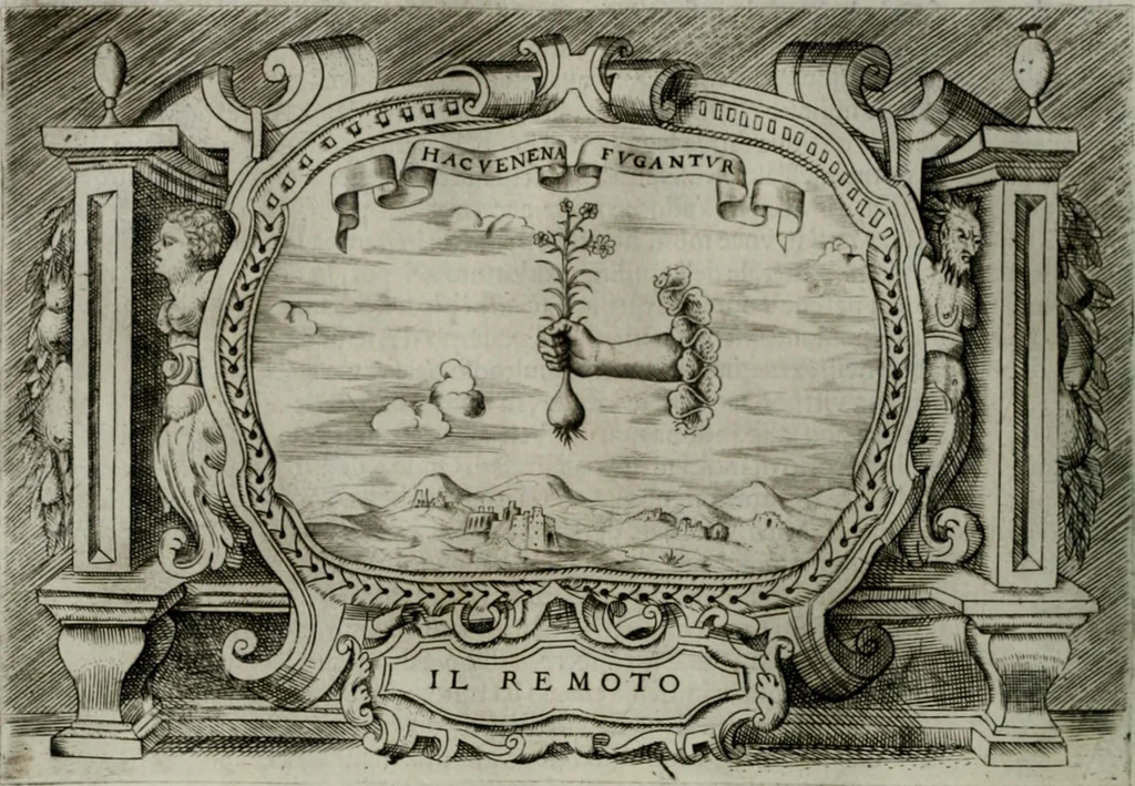 An illustration from Ragionamento di Luca Contile sopra la proprietà delle imprese con le particolari de gli academici Affidati et con le interpretationi et croniche .., 1574, leaf 173
