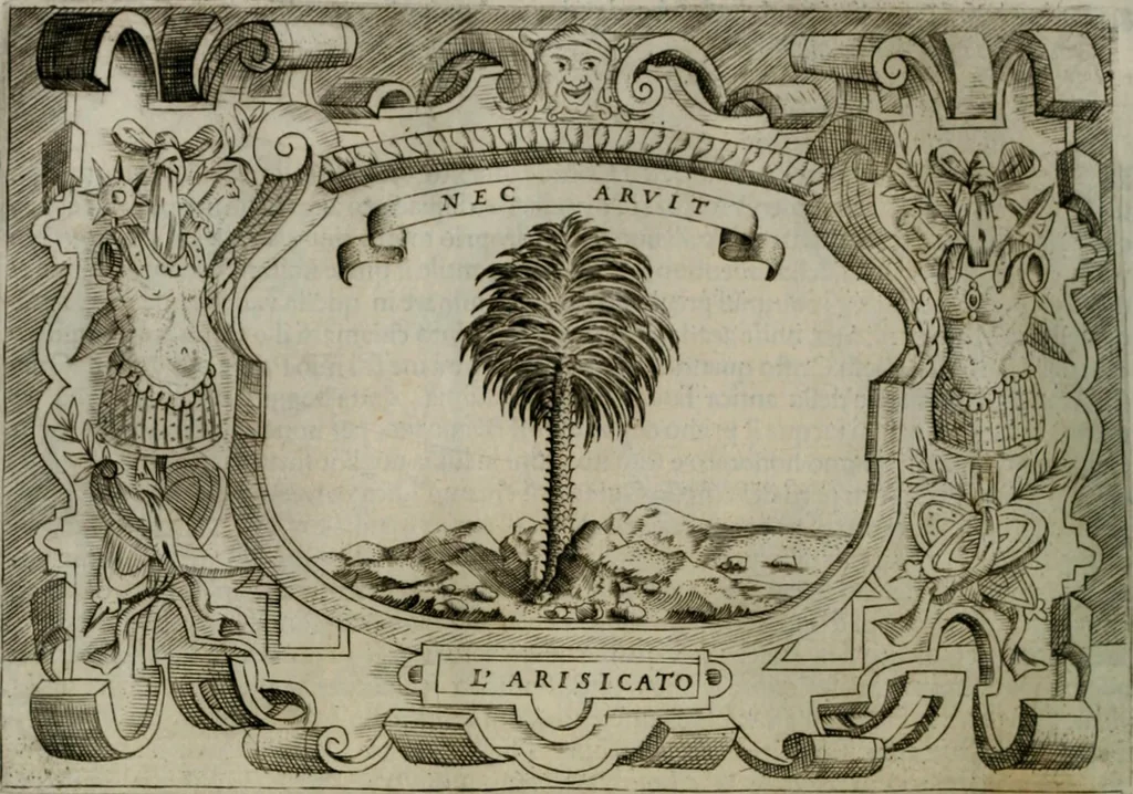 An illustration from Ragionamento di Luca Contile sopra la proprietà delle imprese con le particolari de gli academici Affidati et con le interpretationi et croniche .., 1574, leaf 183