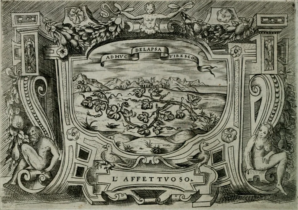 An illustration from Ragionamento di Luca Contile sopra la proprietà delle imprese con le particolari de gli academici Affidati et con le interpretationi et croniche .., 1574, leaf 189
