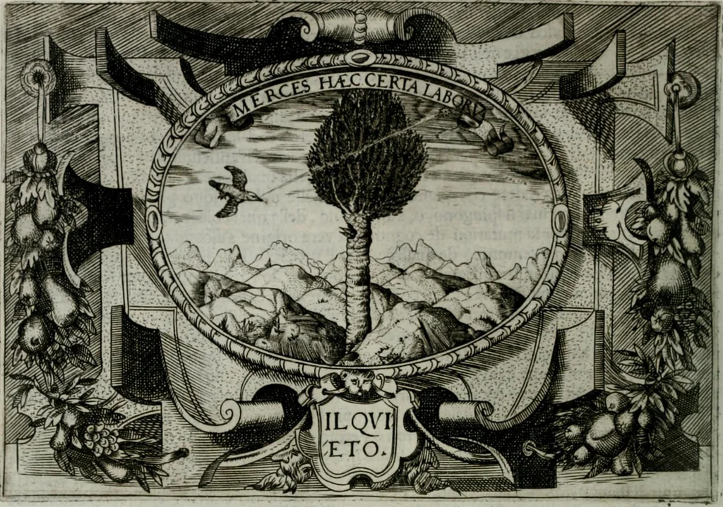 An illustration from Ragionamento di Luca Contile sopra la proprietà delle imprese con le particolari de gli academici Affidati et con le interpretationi et croniche .., 1574, leaf 195