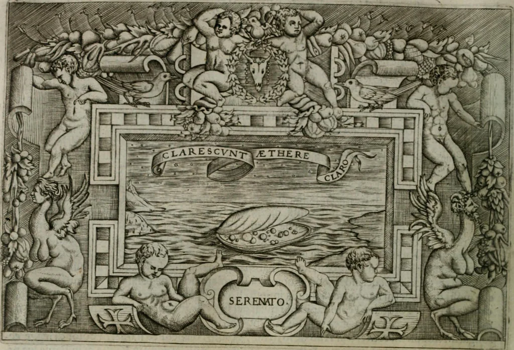 An illustration from Ragionamento di Luca Contile sopra la proprietà delle imprese con le particolari de gli academici Affidati et con le interpretationi et croniche .., 1574, leaf 215