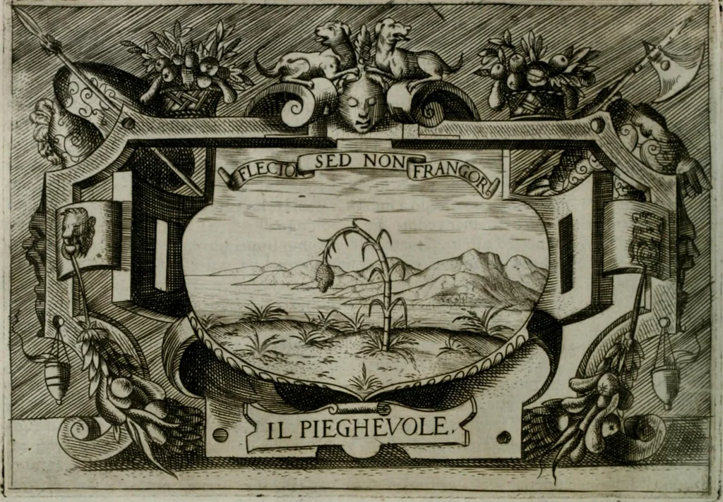An illustration from Ragionamento di Luca Contile sopra la proprietà delle imprese con le particolari de gli academici Affidati et con le interpretationi et croniche .., 1574, leaf 233