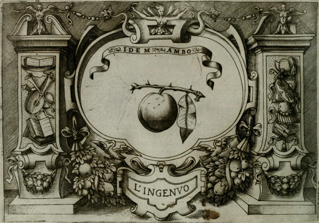 An illustration from Ragionamento di Luca Contile sopra la proprietà delle imprese con le particolari de gli academici Affidati et con le interpretationi et croniche .., 1574, leaf 245
