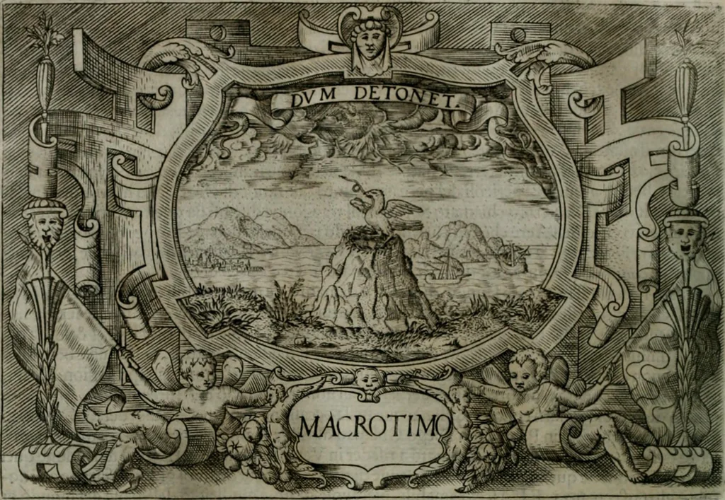 An illustration from Ragionamento di Luca Contile sopra la proprietà delle imprese con le particolari de gli academici Affidati et con le interpretationi et croniche .., 1574, leaf 263