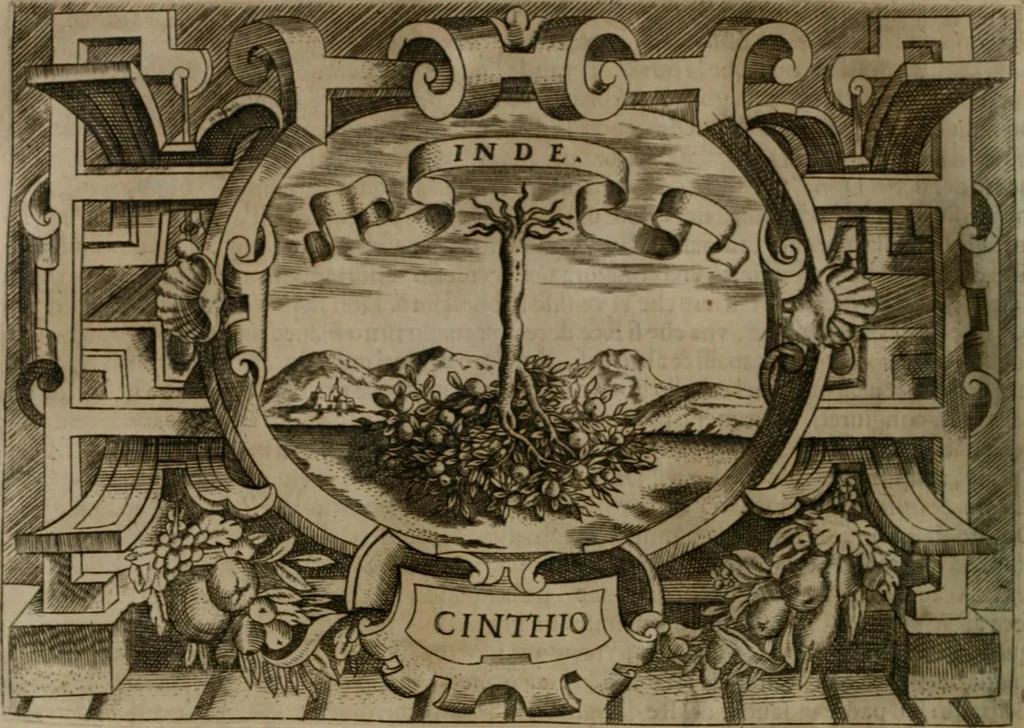 An illustration from Ragionamento di Luca Contile sopra la proprietà delle imprese con le particolari de gli academici Affidati et con le interpretationi et croniche .., 1574, leaf 267