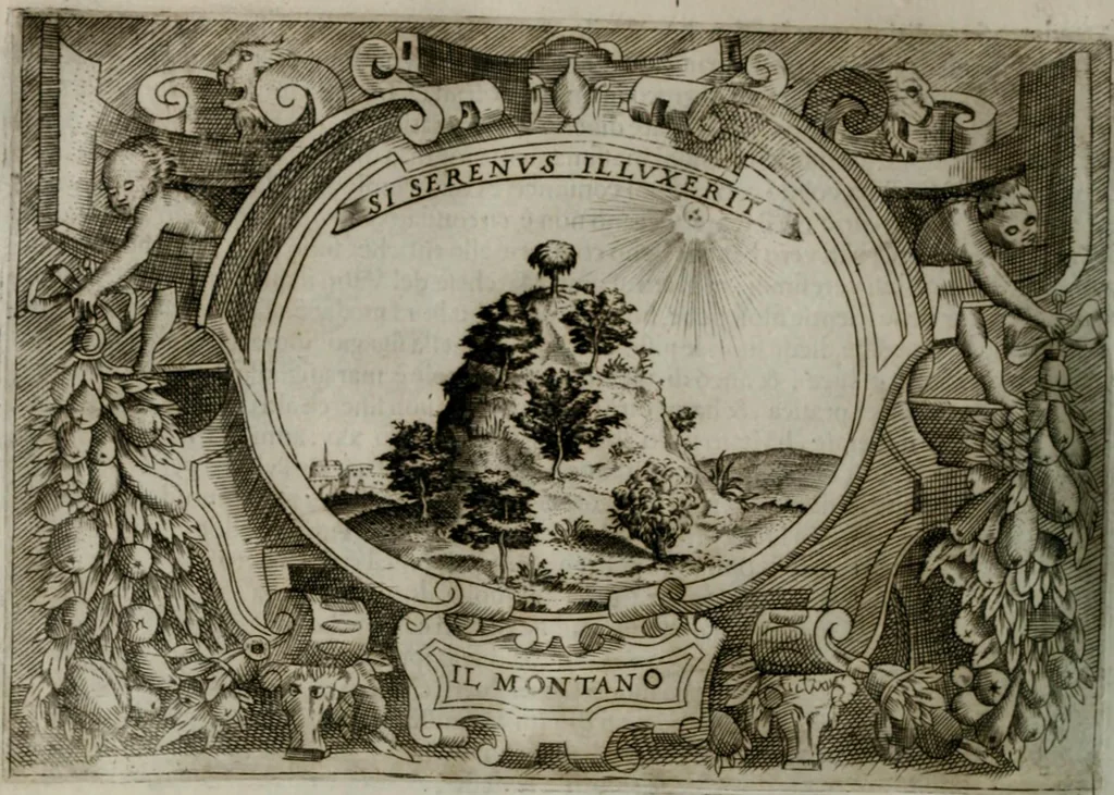 An illustration from Ragionamento di Luca Contile sopra la proprietà delle imprese con le particolari de gli academici Affidati et con le interpretationi et croniche .., 1574, leaf 271