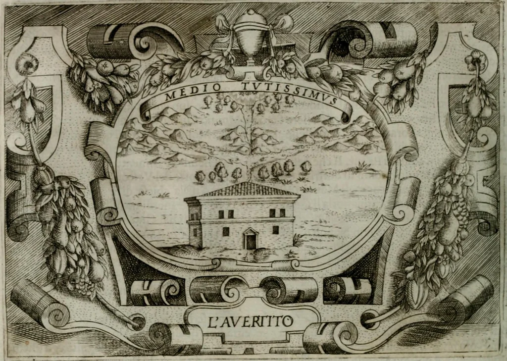 An illustration from Ragionamento di Luca Contile sopra la proprietà delle imprese con le particolari de gli academici Affidati et con le interpretationi et croniche .., 1574, leaf 273