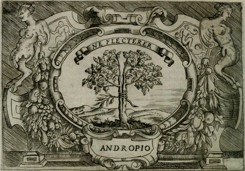 An illustration from Ragionamento di Luca Contile sopra la proprietà delle imprese con le particolari de gli academici Affidati et con le interpretationi et croniche .., 1574, leaf 277