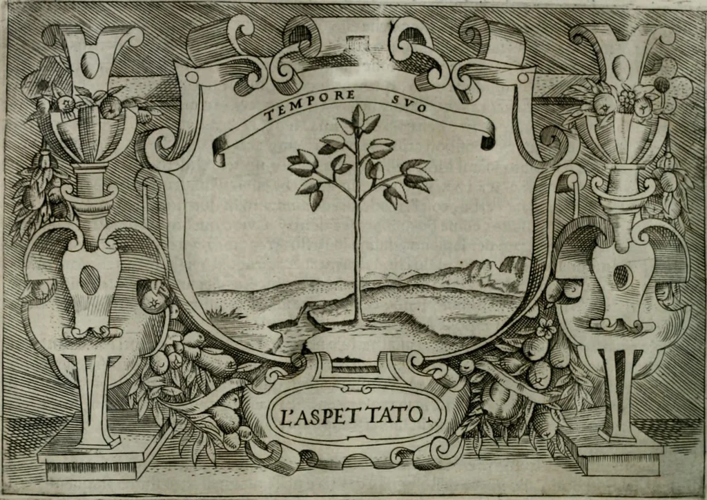 An illustration from Ragionamento di Luca Contile sopra la proprietà delle imprese con le particolari de gli academici Affidati et con le interpretationi et croniche .., 1574, leaf 293