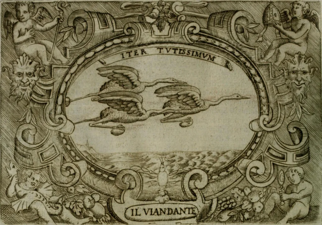 An illustration from Ragionamento di Luca Contile sopra la proprietà delle imprese con le particolari de gli academici Affidati et con le interpretationi et croniche .., 1574, leaf 317