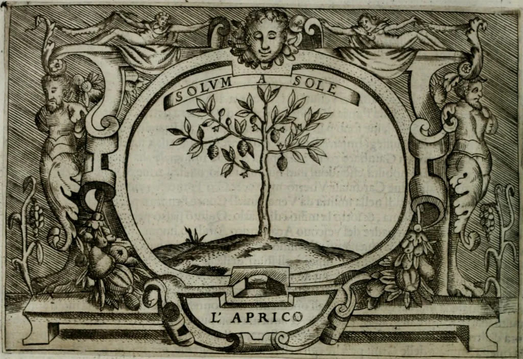 An illustration from Ragionamento di Luca Contile sopra la proprietà delle imprese con le particolari de gli academici Affidati et con le interpretationi et croniche .., 1574, leaf 319