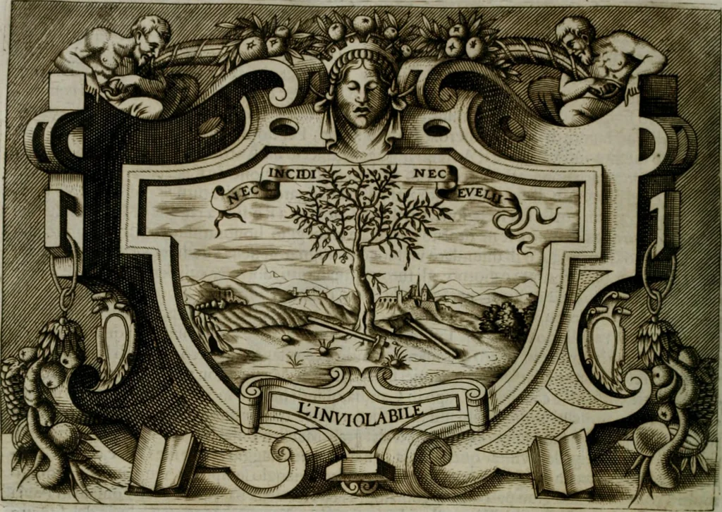 An illustration from Ragionamento di Luca Contile sopra la proprietà delle imprese con le particolari de gli academici Affidati et con le interpretationi et croniche .., 1574, leaf 321