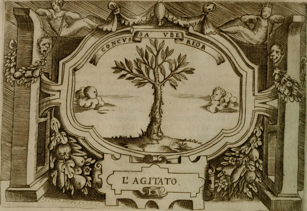 An illustration from Ragionamento di Luca Contile sopra la proprietà delle imprese con le particolari de gli academici Affidati et con le interpretationi et croniche .., 1574, leaf 323