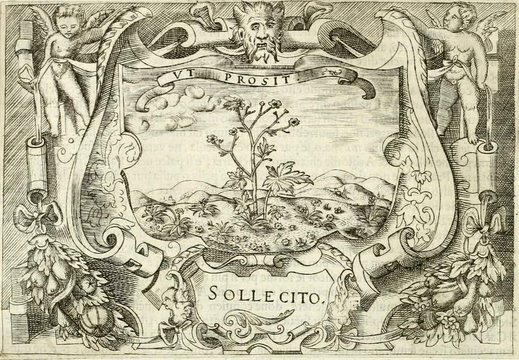 An illustration from Ragionamento di Lvca Contile sopra la proprietà delle imprese : con le particolari de gli academici Affidati et con le interpretationi et croniche, 1574, leaf 109