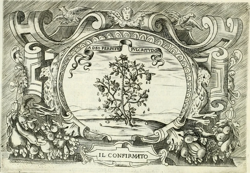 An illustration from Ragionamento di Lvca Contile sopra la proprietà delle imprese : con le particolari de gli academici Affidati et con le interpretationi et croniche, 1574, leaf 123